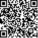 Code QR17293