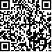 Code QR17379