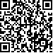 Code QR17391