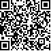 Code QR17413